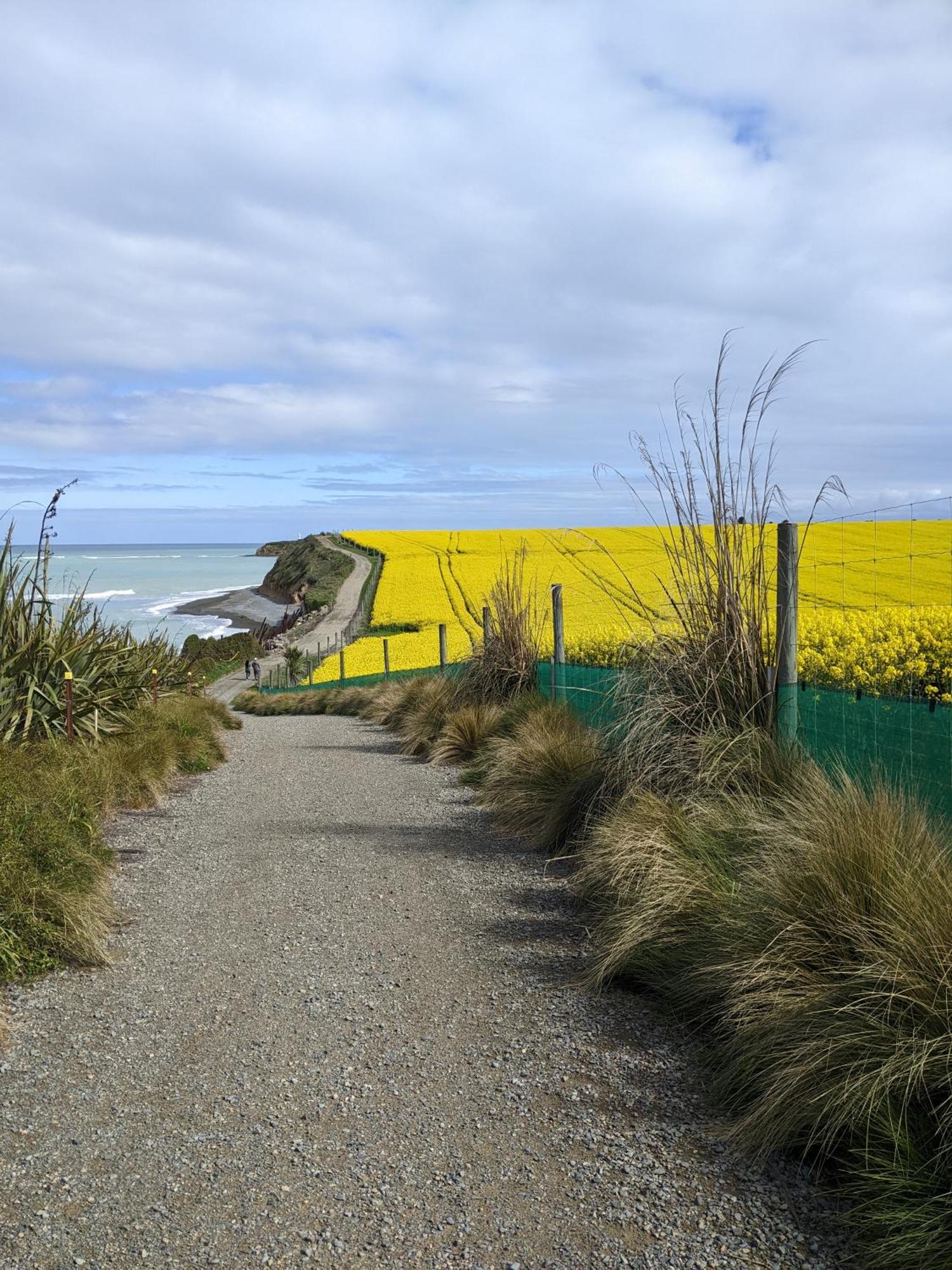 Kingsdown Suite, Timaru Bagian luar foto